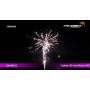 Collection Fireworks